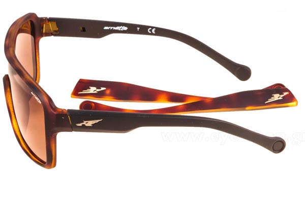 Arnette μοντέλο Tall Boy 4210 στο χρώμα 229173