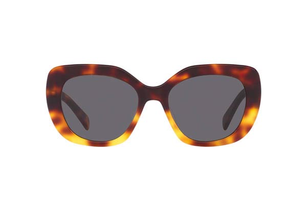 Celine CL40226U TRIOMPHE