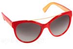 Λεπτομέρειες - Οπτικά Γυαλιά Ηλίου Dolce Gabbana 4280 29688G Τιμή: 73.99