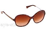 Γυαλια Ηλιου Emporio Armani 4024 502613