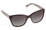 Γυαλια Ηλιου Emporio Armani 4068 50178G