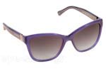 Λεπτομέρειες - Οπτικά Γυαλιά Ηλίου Emporio Armani 4068 55188G Τιμή: 122.99