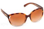 Λεπτομέρειες - Οπτικά Γυαλιά Ηλίου Michael Kors 6036 MITZI II 312513 Τιμή: 118.97