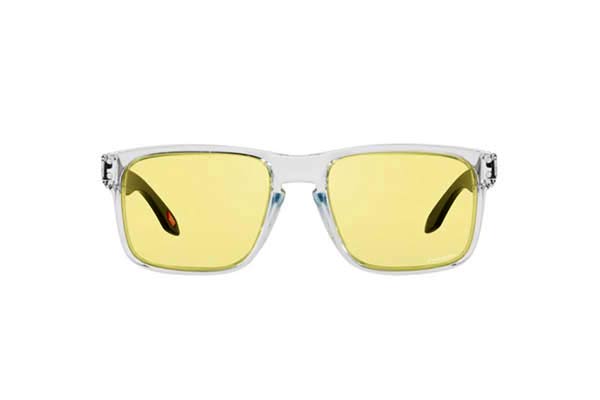 Oakley Holbrook 9102