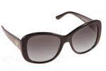 Λεπτομέρειες - Οπτικά Γυαλιά Ηλίου Ralph Lauren 8144 5001T5 polarized Τιμή: 131.98