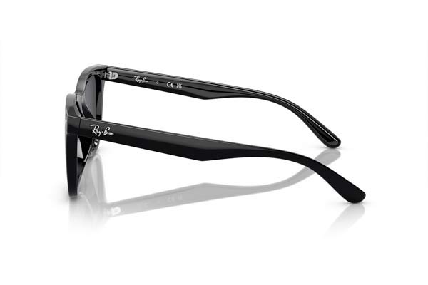 Rayban μοντέλο 4420 στο χρώμα 601/87
