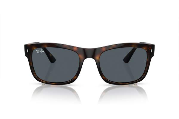 Rayban 4428
