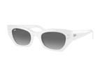 Γυαλια Ηλιου Rayban 4430 ZENA 675911