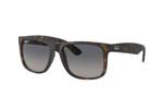 Γυαλια Ηλιου Rayban Justin 4165 865/8S