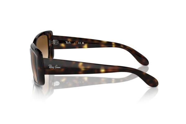 Rayban μοντέλο 4389 στο χρώμα 710/51