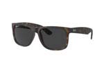Γυαλια Ηλιου Rayban Justin 4165 865/87