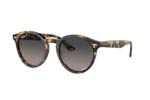 Γυαλια Ηλιου Rayban 7680S LARRY 1332GL