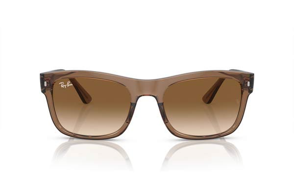 Rayban 4428