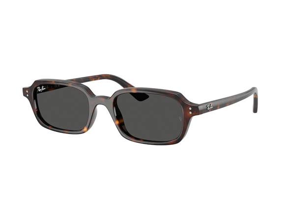 Γυαλιά Rayban 4455 ZURI 135987