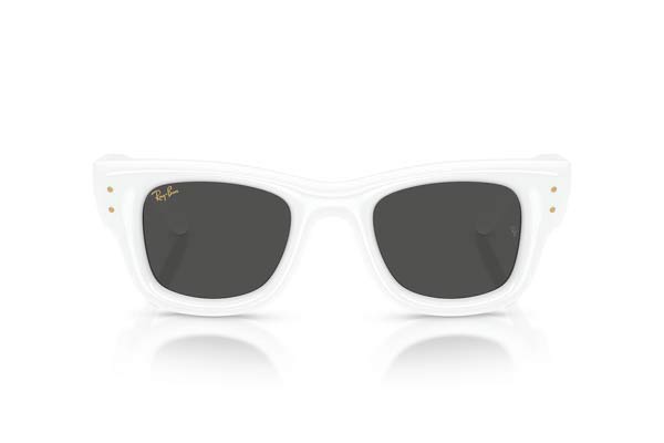 Rayban&nbsp;4940 WAYFARER PUFFER