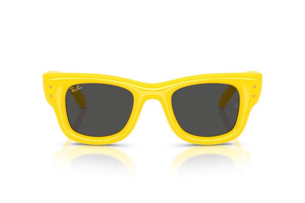 Rayban&nbsp;4940 WAYFARER PUFFER