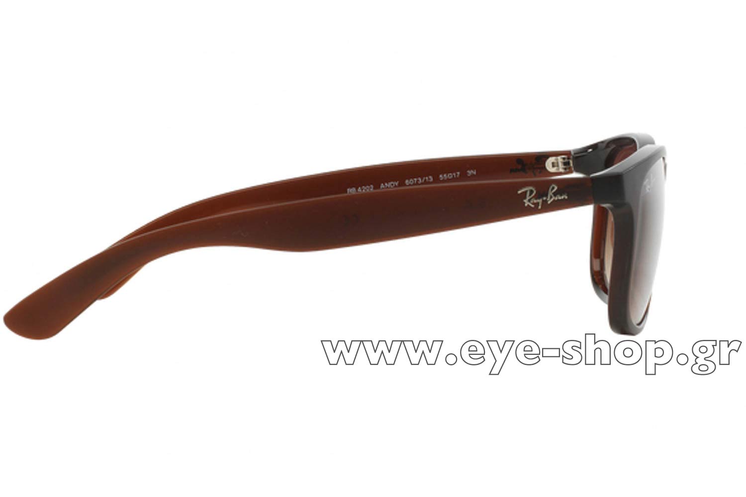 Rayban ANDY 4202