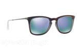 Γυαλια Ηλιου Rayban 4221 61684V