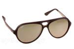 Γυαλια Ηλιου Rayban 4235 618740