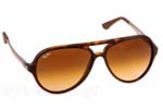 Γυαλια Ηλιου Rayban 4235 894/85