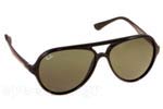 Γυαλια Ηλιου Rayban 4235 601