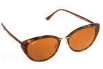 Λεπτομέρειες - Οπτικά Γυαλιά Ηλίου Rayban 4250 710/73 Τιμή: 161.99