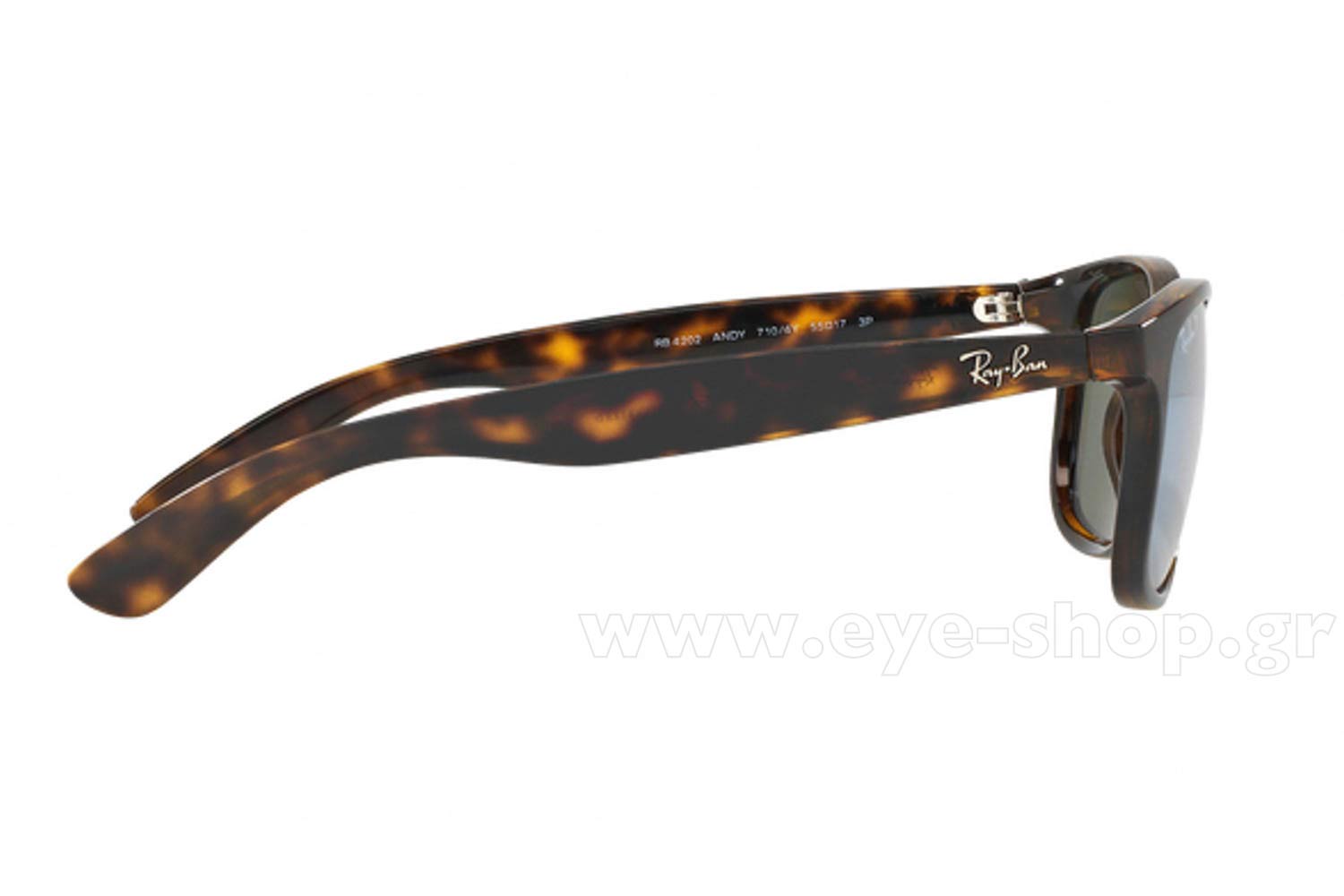 Rayban ANDY 4202